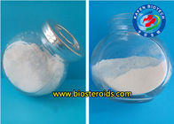 CAS 541-15-1 White L-Carnitine Powder For Health Products Food Additives