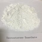 Anabolic Steroids Powder 99% Testosterone Enanthate Powder Used To Muscle Building 315-37-7