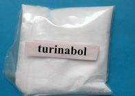 Oral Turinabol Bodybuilding Anabolic Steroids 4- Chlorodehydromethyltestosterone High Purity 2446-23-3