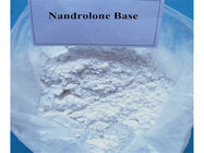 Anabolic Steroids Powder Norandrostenolone Nandrolone Raw Powder CAS 434-22-0
