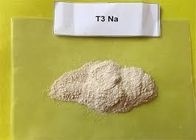 CAS 55-06-1 Legal Anabolic Steroids Liothyronine Sodium / T3 Herbal Weight Loss Powders