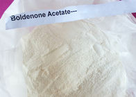 Muscle Growth Anabolic Steroid Hormones White Powder Boldenone Acetate CAS 2363-59-9