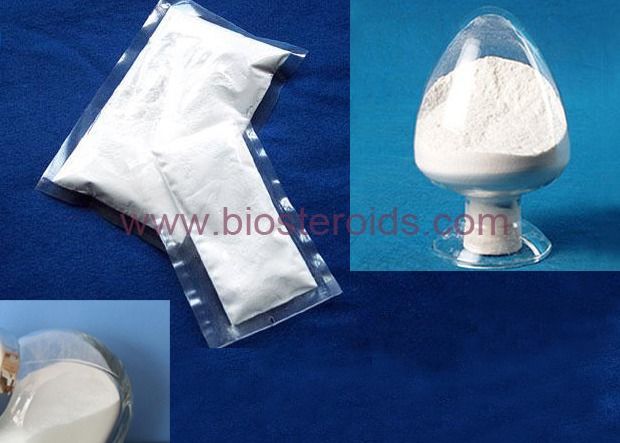 Enhancer Anabolic Steroid Powder 17-Methyltestosterone CAS 58-18-4 For Bodybuilding