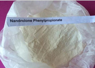 Nandrolone Phenylpropionate DECA Durabolin Steroids 99% To Rebuild Body Tissue