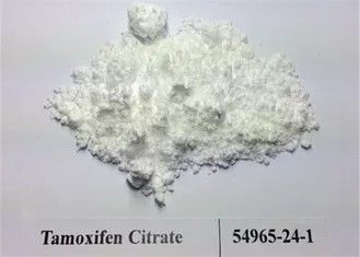 99.5% Purity Steroids Powder Tamoxifen Citrate / Nolvadex Raw Powder CAS 54965-24-1