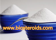 Protein Synthesis Testosterone Steroids Testosterone Acetate White Powder  Body Fitness