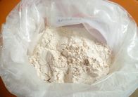 98.7% USP Body Building Prohormone Raw Powder 4 DHEA 4-Androstene-3b-Ol, 17-One