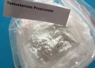 Muscle Building Testosterone Steroids Testosterone Propionate White Powder 99% Purity