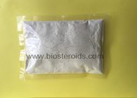 Male White Powders Testosterone Steroids Hormone Mesterolone For Muscle Strength