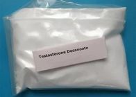Injectable White Testosterone Steroids Powder Testosterone Decanoate for Bodybuilding
