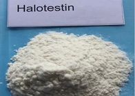 White Testosterone Steroids Powder Anti Aging Fluoxymesterone Halotesin for Male 76-43-7