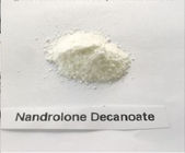 Anabolic White Powder DECA Durabolin Steroids Nandrolone Decanoate Body Supplements