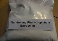 Durabolin Npp Steroid Hormone Nandrolone Phenylpropionate Raw Powder for Muscle