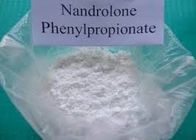 Durabolin Npp Steroid Hormone Nandrolone Phenylpropionate Raw Powder for Muscle
