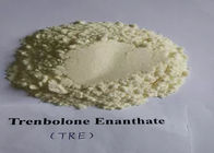 Muscle Building Steroids Trenbolone Base Powder CAS 10161-33-8 Light Yellow Crystalline Powder