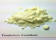 Trenbolone Base Raw Steroid Powders for Muscle Building , CAS 10161-33-8