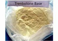 CAS 10161-33-8 Trenbolone Steroids Muscle Building Raw Steroid Powders 99% Assay