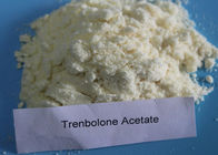 Gym Hormone Powder Trenbolone Acetate Light Yellow Powder CAS 10161-34-9