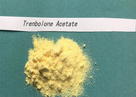 Gym Hormone Powder Trenbolone Acetate Light Yellow Powder CAS 10161-34-9