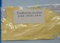 Sell 99.8% Dark Yellow Short Cycle Steroids Powder Trenbolone Acetate Finaplix H Revalor H Raw Powder CAS:10161-34-9