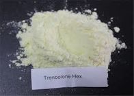 99% Purity Raw Steroids Powder Trenbolone Hexahydrobenzyl Carbonate Raw Powder For Body Building