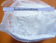 Healthy Effectual Anti Estrogen Steroids 4-Androstenedione 4-AD CAS 63-05-8 USP Standard
