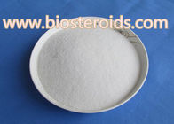 Anti Estrogen Formestane Powder , Estrogen Blocker Steroids CAS 566-48-3