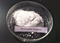 Muscle Growth Anabolic Steroid Hormones White Powder Boldenone Acetate CAS 2363-59-9