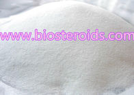 99% Purity Anabolic Steroids Powder 11-OXO / Adrenosterone Raw Powder CAS 382-45-6