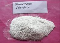 Stanozolol Winstrol Oral Anabolic Bodybuilding Steroids For Anti Estrogen CAS 10418-03-8