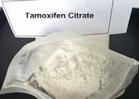 Anti Estrogen Steroids Powder Tamoxifen Citrate CAS 54965-24-1
