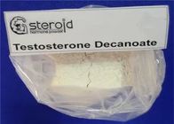 USP 99% Testosterone decanoate Testosterone Anabolic Steroid , Raw Steroids Powder CAS No 5721-91-5
