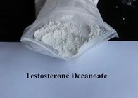 White Powder Long Acting Steroids For Bodybuilding Testosterone Decanote