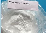 Injectable Bodybuilding Anabolic Steroids White Testosterone Enanthate 315-37-7 Powder For Muscle Gain