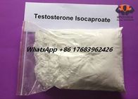 Cas 15262-86-9 Testosterone Anabolic Steroid Muscle Gain Bodybuilding Testosterone Isocaproate