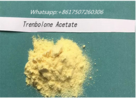 Trenbolone Acetate Pale Yellow Powder Hormone Revalor - H For Muscle Building CAS 10161-34-9