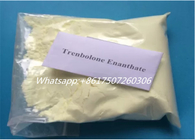 Muscle Building Steroids Trenbolone Enanthate Powder Finabolan 99% Purity CAS 472-61-546