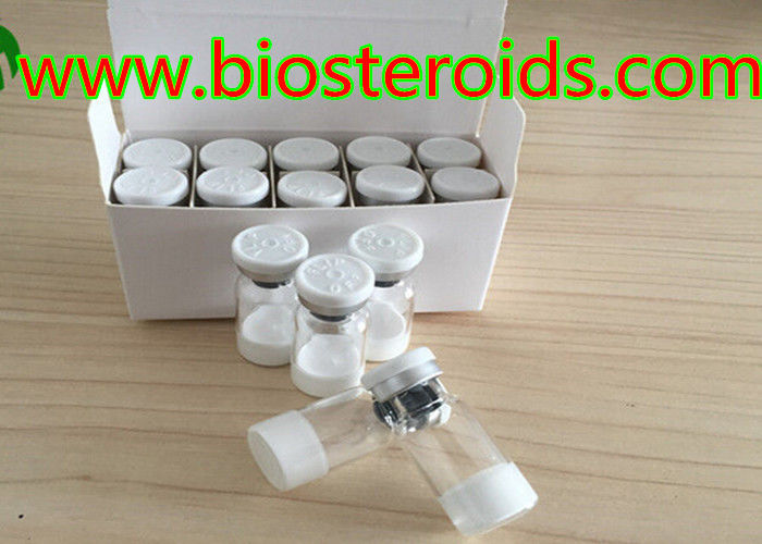 Body Fitness White Powder Growth Hormone Peptides Sermorelin For Muscle Gaining