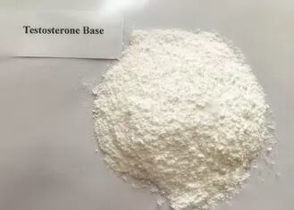 Anabolic Raw Steroid Powder Source Pure Testosterone Base Weight Loss 58-22-0