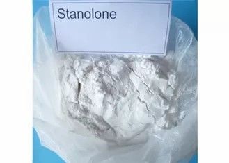 Natural Male Hormone Stanolone Androstanolone for Muscle Growthing CAS 521-18-6 White Powder