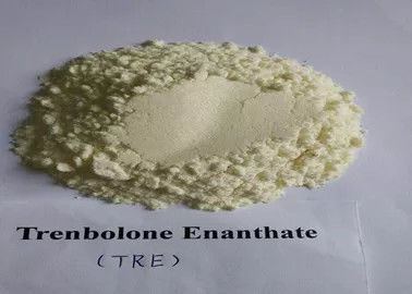 Body Building Trenbolone Steroids , Trenbolone Enanthate Powder CAS 10161-33-8