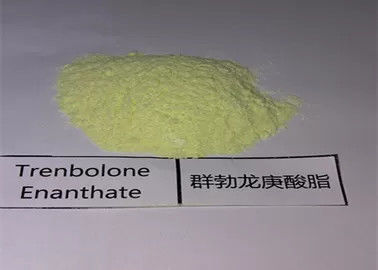 Sell High Quality Dark Yellow Powder Trenbolone Enanthate Parabolan Raw Steroids Powder