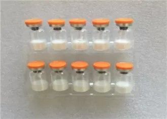 Sell High Purity Muscle Building Peptides Thyrotropin / TRH Powder CAS: 24305-27-9