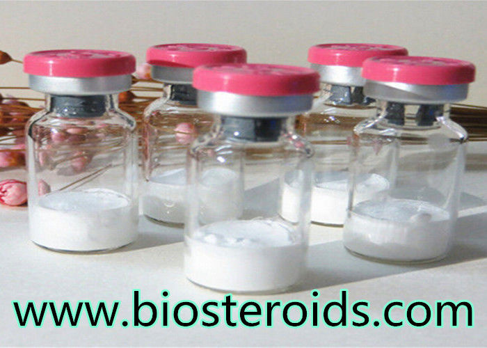 CAS 87616-84-0 99% Growth Hormone Peptides GHRP-6 For Muscle Increasement