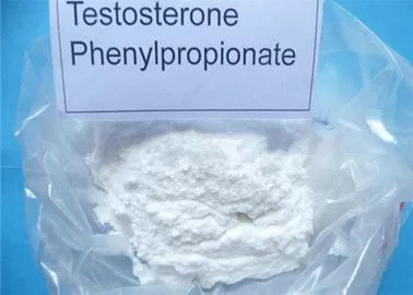 High Purity White Powder Testosterone Phenylpropionate 1255-49-8