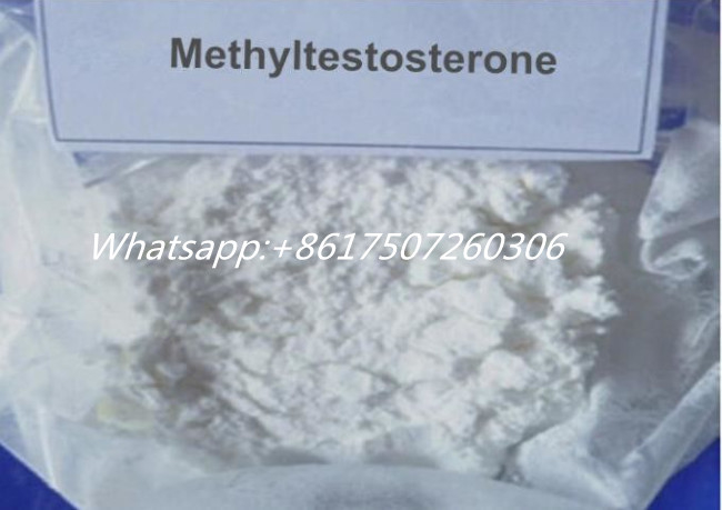 99% High Purity Raw Steroids Testosterone Anabolic 17- Methyltestosterone 58-18-4