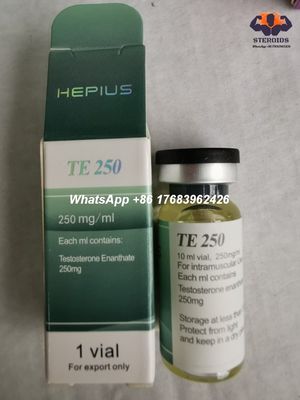 Injectable Anabolic Steroids Testosterone Enanthate 250mg/Ml 315-37-7